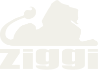 Ziggi Original